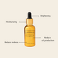 Kojic Acid Pore Refining & Brightening Skincare Set – Vegan