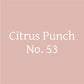 Citrus Punch No. 53 – Citrus Probiotic Oolong Tea Discs