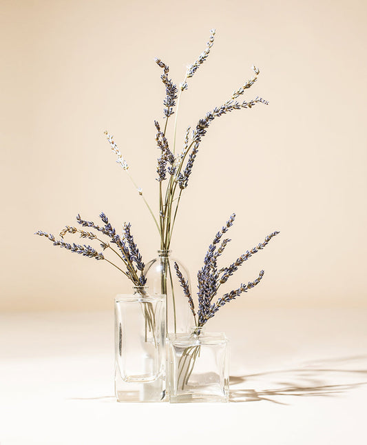 PREMIUM FRENCH LAVENDER ESSENTIAL OIL