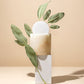 organic sage essential oil