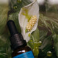 Emanations Profound Face Oil – Nourishing & Hydrating